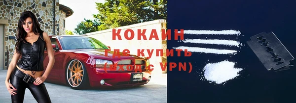 винт Инсар