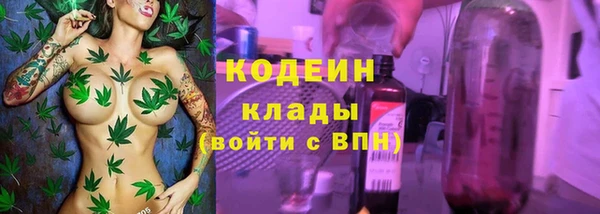apvp Инта