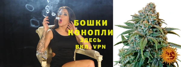 винт Инсар