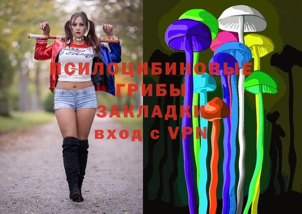 винт Инсар