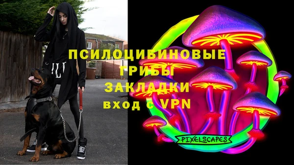винт Инсар