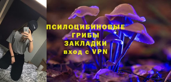 винт Инсар